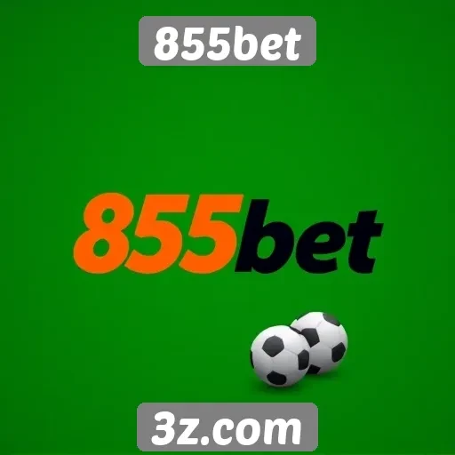 Estudo sobre opções de pagamento no 855bet